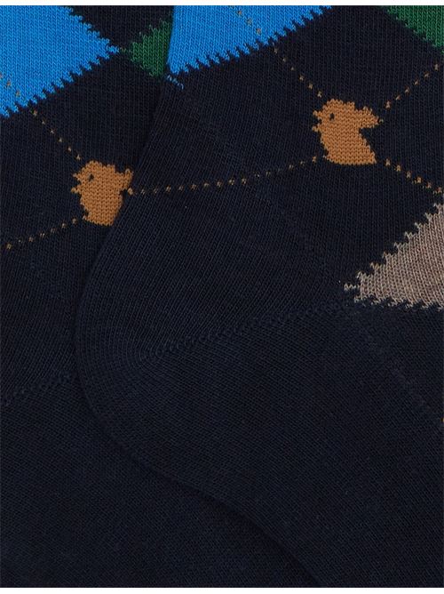 AP51156730739 FANTASIA gallo | AP51156730739 FANTASIA